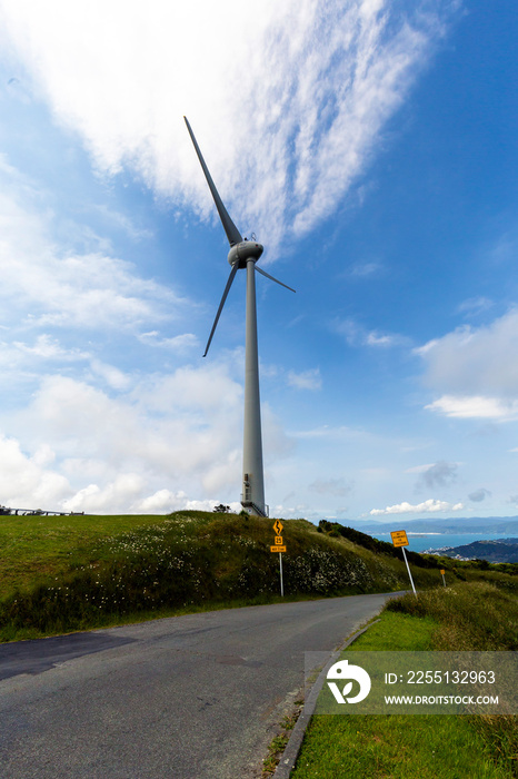 Wind Turbine in Wellington, New Zealand