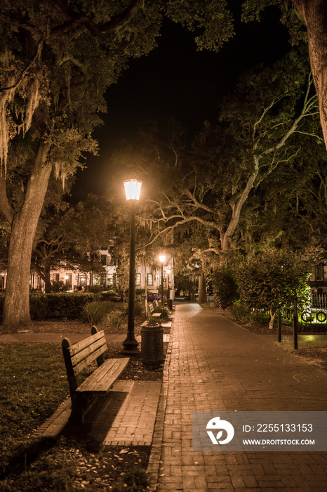 Empty Garden path in the city park at night