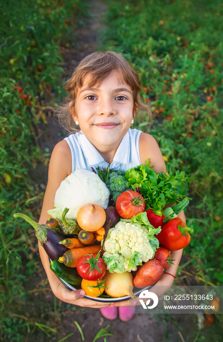 A child holds a harvest of vegetables in his hands. Selective focus.