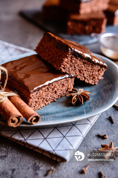 Delicious cocoa gingerbread cake with marmalade and chocolate topping