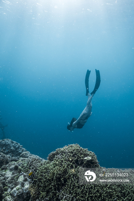 A young female dives into the shallow reef in Moalboal, Cebu without the aid of a breathing apparatus.