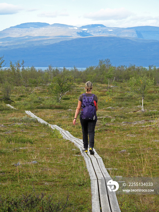 Woman Hiker on the Kungsleden trail, the long distance hiking trail in northern Lapland, Abisko National Park, Sweden, Europe