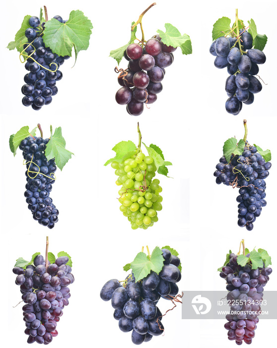 Grapes on a white background