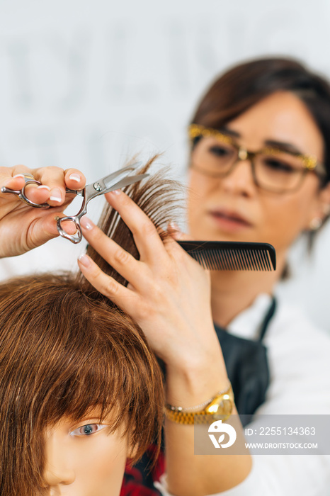 Hairdresser Educator with Students, Explaining Hair Cutting Technique on Mannequin Head for Training