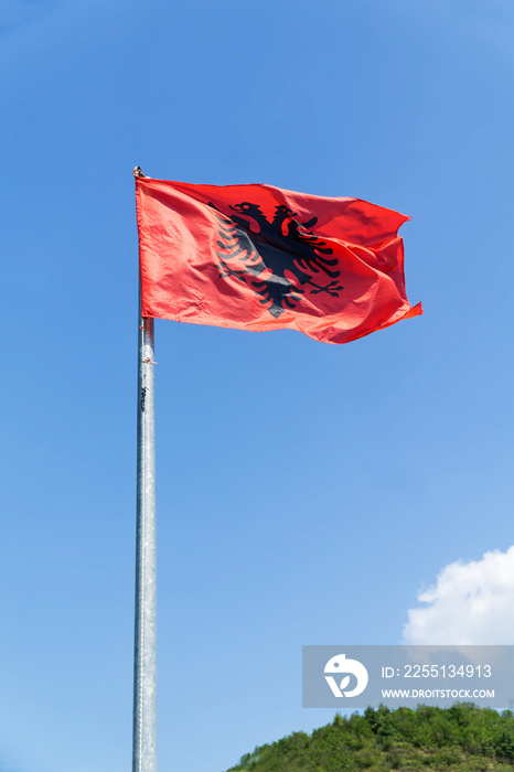 Albania flag against blue sky with white clouds. The Albanian flag is a red flag with a silhouetted black two-headed eagle.Vertical image.