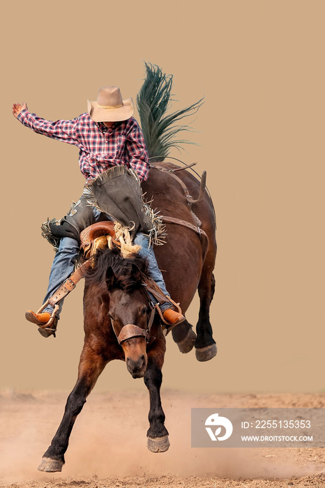 Cowboy riding a bucking bronc at a country rodeo Australia. Background replaced.