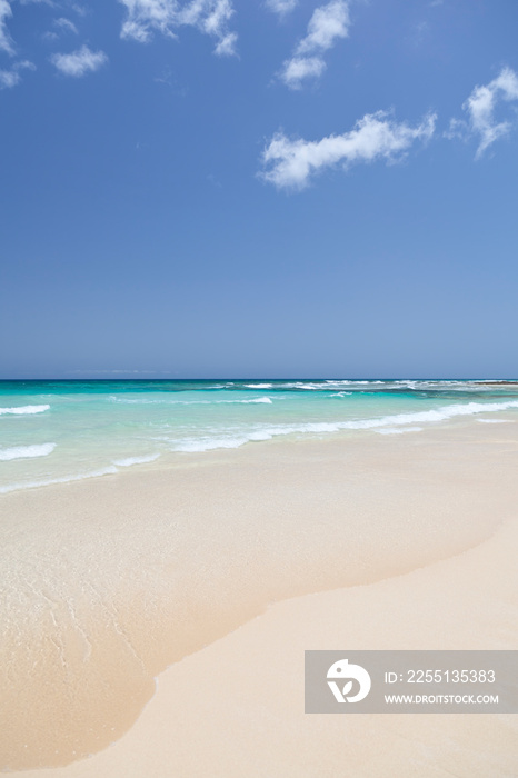 Perfect White Beach, Fuerteventura