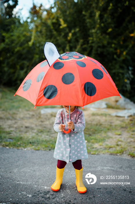 Happy smiling little child 2 years old girl in yellow rain boots is playing with  her red umbrella with polka dots outdoors.