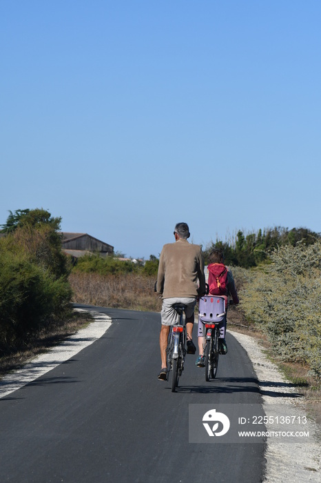 cyclotouristes sur une piste  sur l’île de Ré