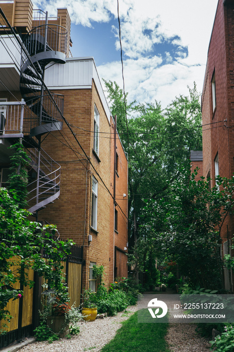 the lush and green back alley Henri Julien, flowered and preserved by the neighborhood residents, located near Square St Louis in Montreal Plateau Mont Royal neighborhood