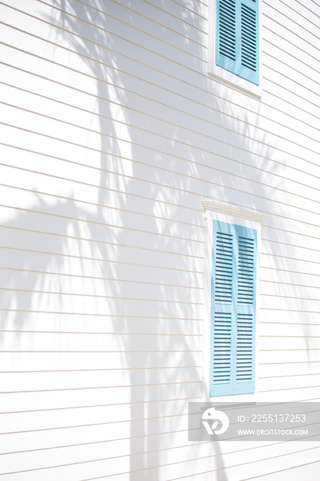 Shadows of a palm tree against a white timber wall with blue shutter windows hampton holiday beach style