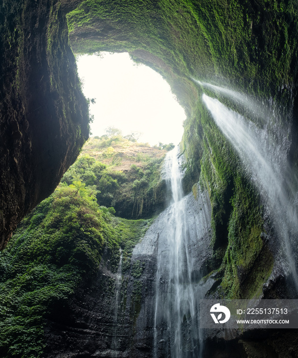 Madakaripura waterfall flowing on rock valley with plants in national park