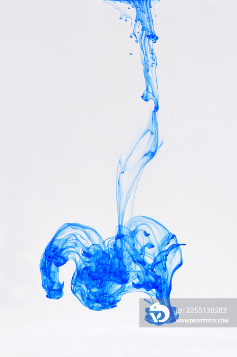 Transition blue color ink Dropped Into Water