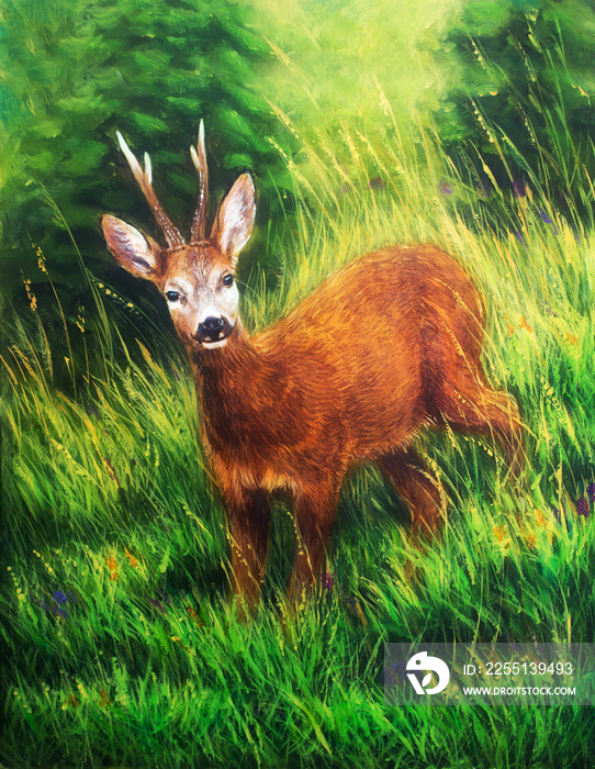 painting of young deer in wild landscape with high grass. Eye contact.