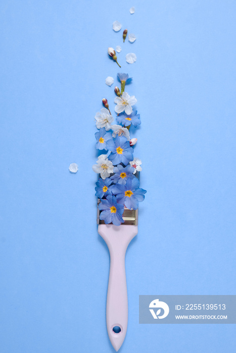 Creative concept. Paintbrush with cherry blossoms and flower on pastel blue background. Minimal nature composition with copy space.Flat lay, top view.