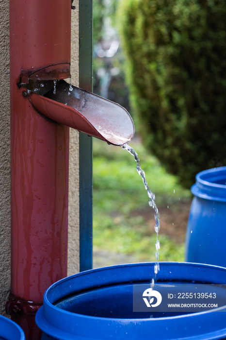 Rainwater flowing from roof gutter into barrel at garden. Raindrops in motion blur