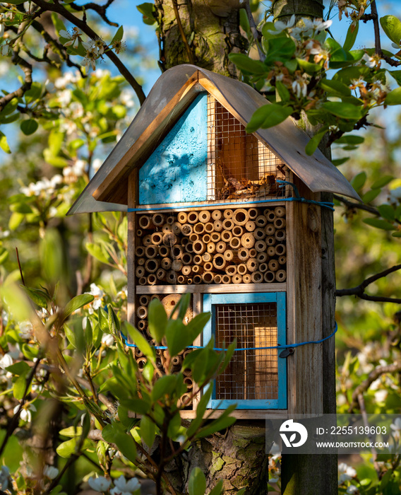 Wooden insect hotel in spring sunny fruit trees orchard