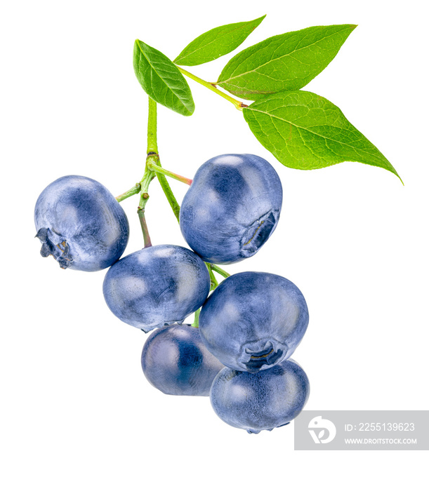 Bunch of ripe blueberries with leaves, isolated on white background.