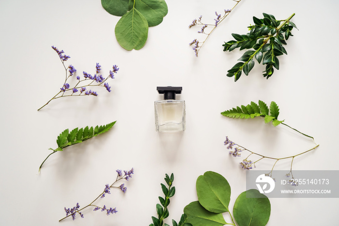 Beautiful composition with bottle of perfume and green leaves on white background