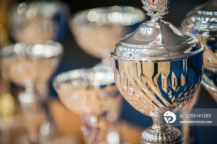 Gold champion trophies and medals lined up in rows