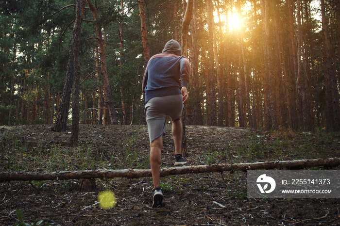 Man is engaged in running with obstacles in a pine forest. A beautiful play of light. Concept of outdoor training. Workout