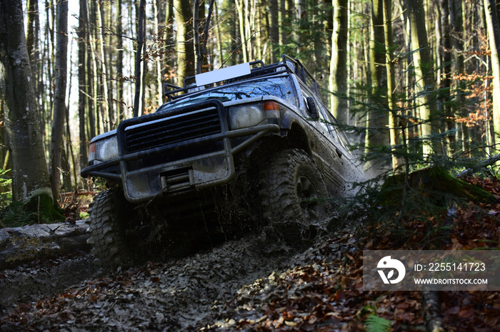 Sport utility vehicle or SUV overcomes obstacles. Offroad race on fall nature background. Motor racing in autumn forest. Rallying, competition and four wheel drive concept.