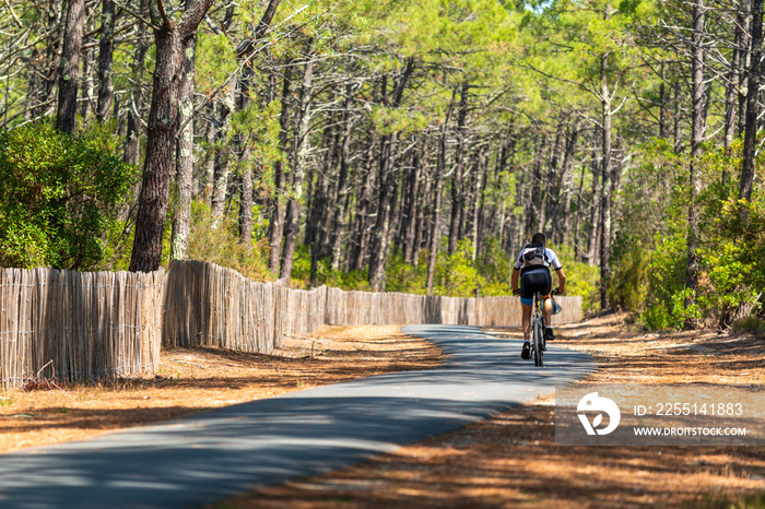 BASSIN D’ARCACHON (France), piste cyclable dans la forêt