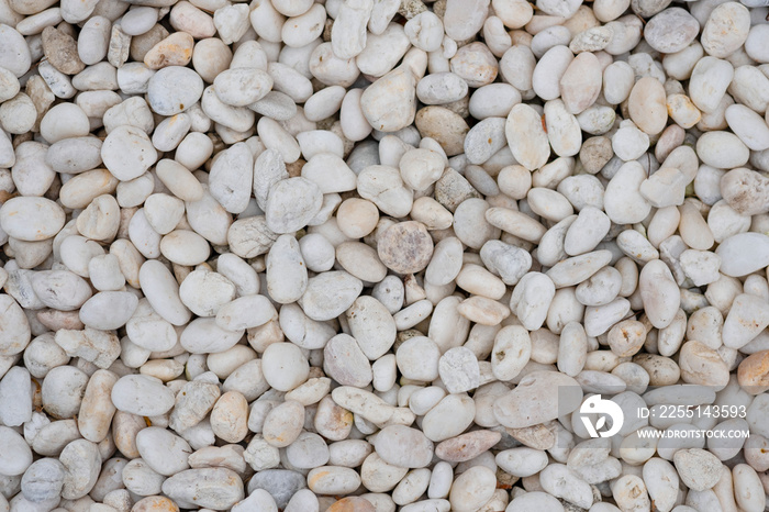 Beautiful smooth white pebbles for background and texture.