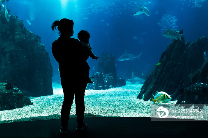 Woman and baby watching the fish tank with sharks.