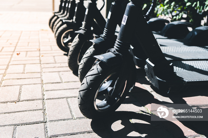 Electric scooters stand in a row on the road in a park area. Modern transport for recreation and entertainment