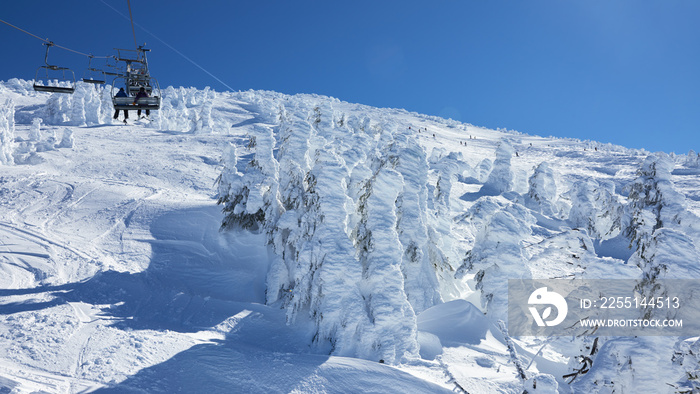 Frozen trees on the slopes of Mount Bachelor in Oregon.