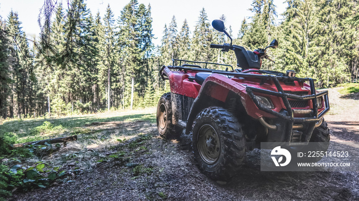 red quad bike in the forest, side and front view