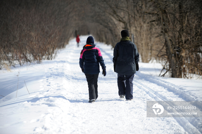 promenade en hiver