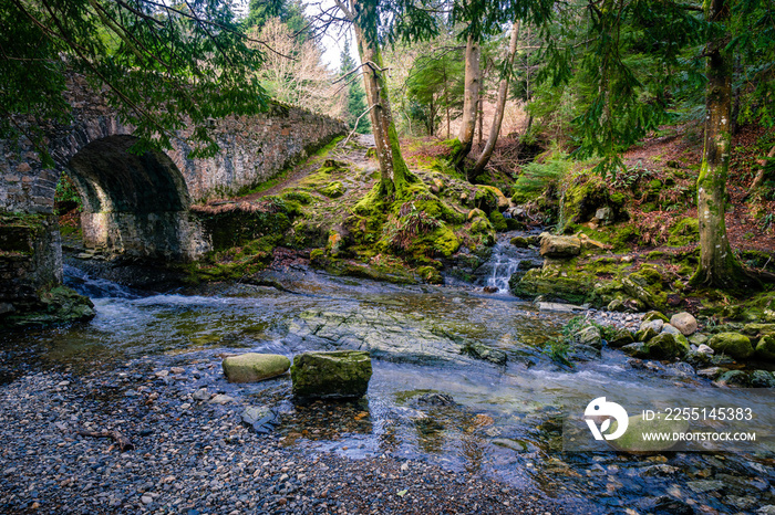 Tollymore forest: GOT location, direwolfs