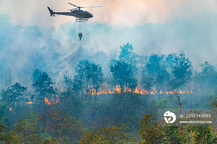 Helicopter dumping water on forest fire