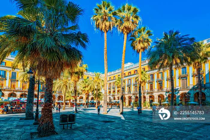 View of Royal Square (Placa Real) and Pedagogical Science Museum