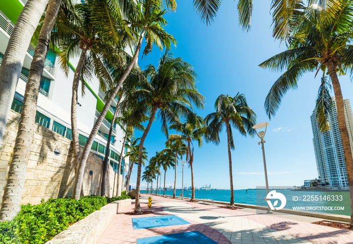 Miami river walk under a shining sun