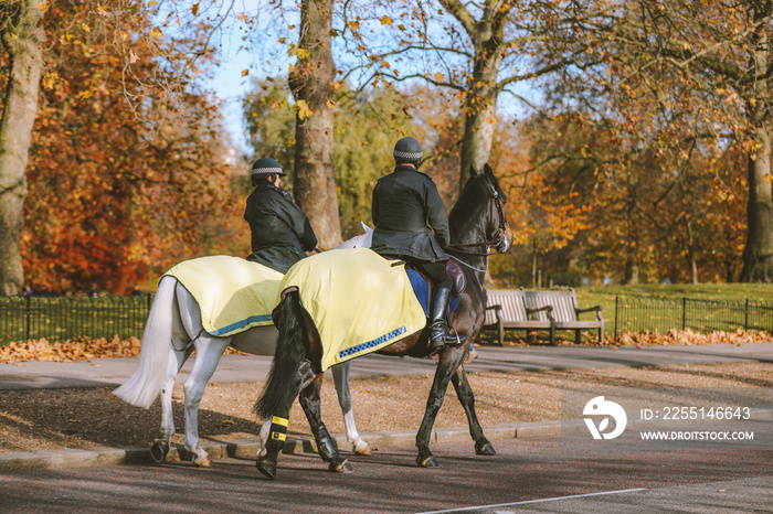 Mounted police officer in London street , England, UK winter