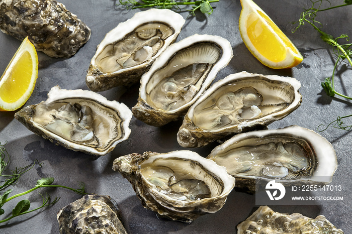 Fresh raw oysters in shells halves with lemon