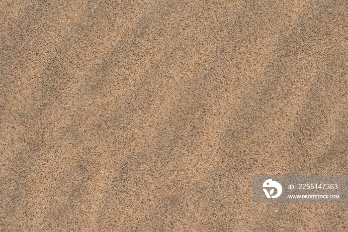 Namibia, grains of sand on the dunes, texture,  background