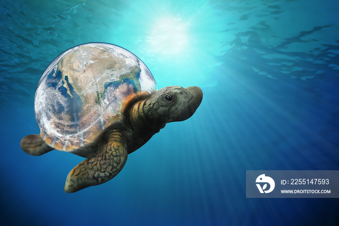 The sea turtle swims in the Pacific ocean environment. World Ocean’s day, World Turtle Day, May 23. Suitable for banner, poster, greeting card, shirt, template and print advertising for copy space.