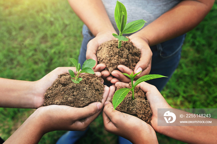 three hand holding young Plant and standing group. nurture Environmental concept