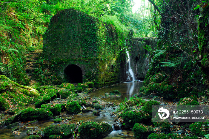 Bolunzulo old mill and waterfall in Kortezubi. Urdaibai Biosphere Reserve. Basque Country. Spain