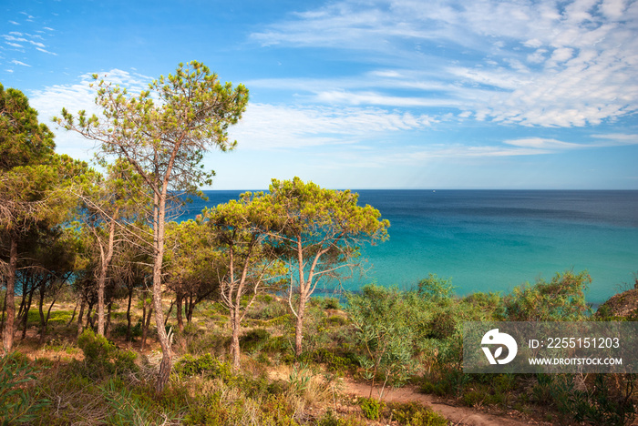 Sardegna, veduta della costa nei pressi di Santa Margherita di Pula, Italia, Europa