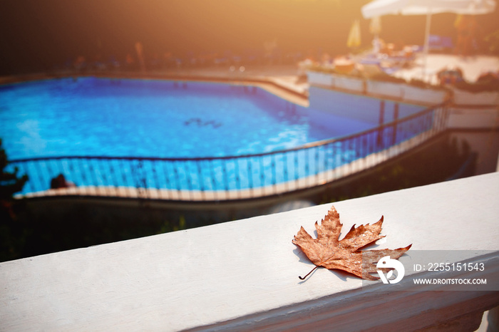 Fall leaves floating on background swimming pool blue water. Concept pool cleaning