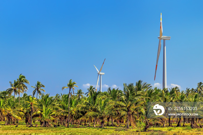 wind generators among palm trees in rural Sri Lanka. Alternative Renewable Energy Sources