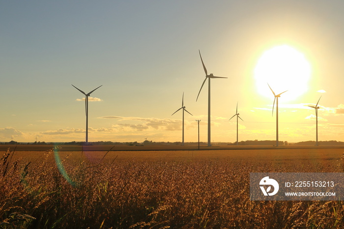 Giant sun at sunset one summer evening. Swedish countryside with wind power turbines. Near Skara, Sweden, Europe.