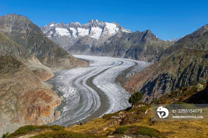 Der Aletschgletscher in der Jungfrau-Region im Wallis, Schweiz