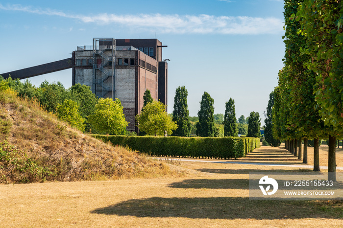 A row of pruned trees on a dried up meadow, with the ruin of an old coal bunker in the background, seen in the Nordsternpark, Gelsenkirchen, North Rhine-Westfalia, Germany