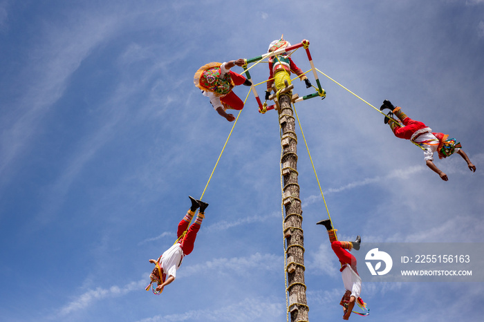 Voladores de papantla en contrapicada en tequila jalisco